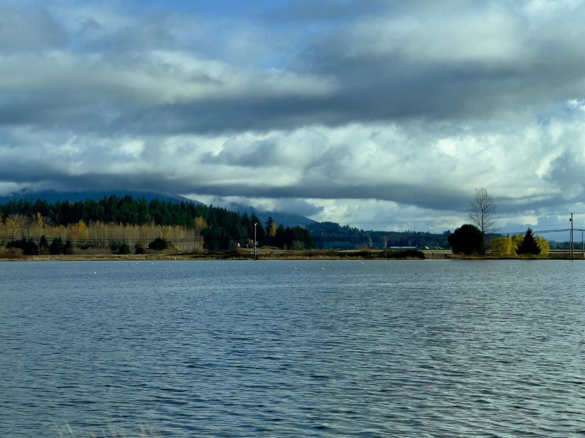 Flooding of field between Hwy 99 and Green Road