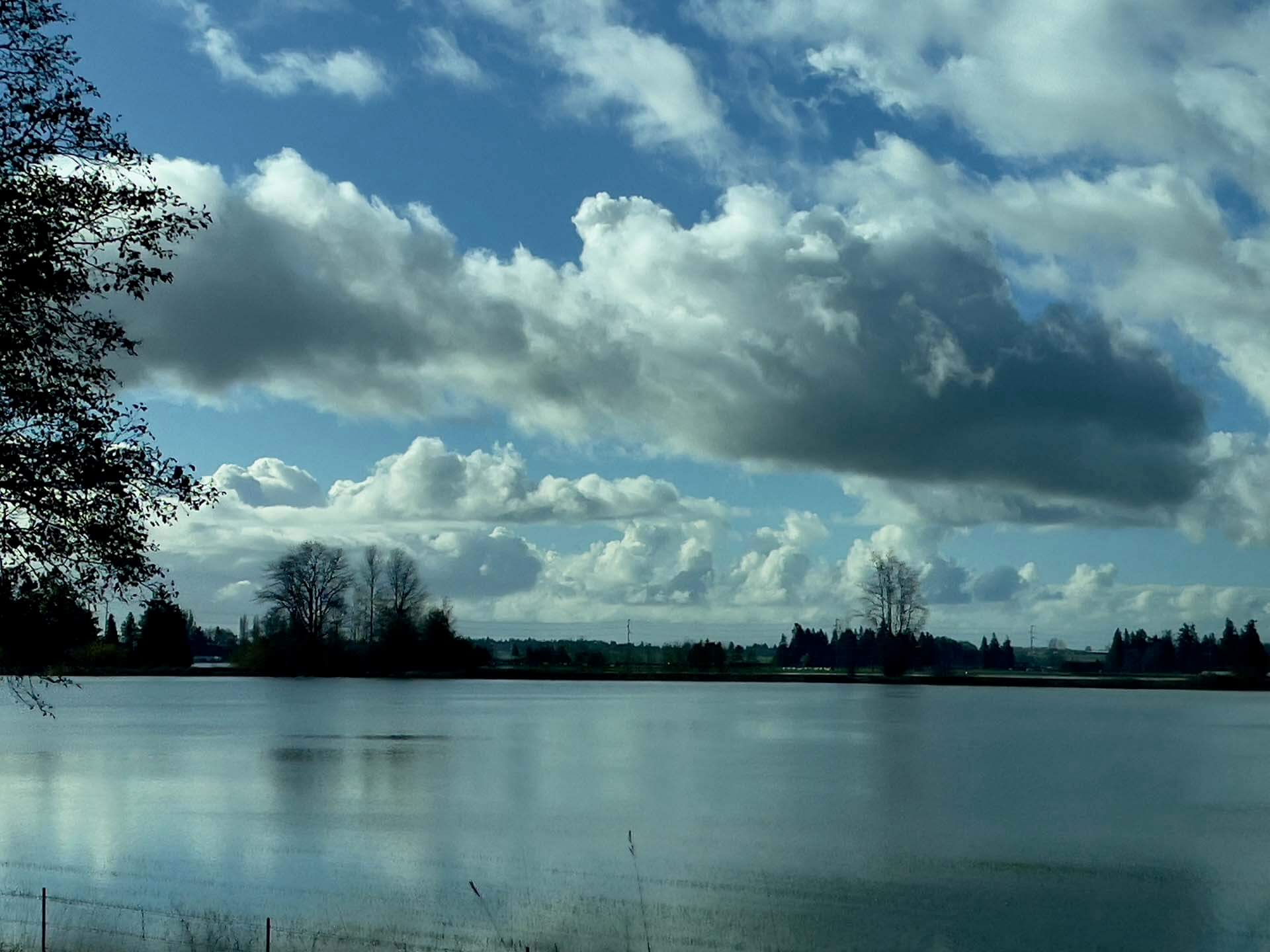 Photo 1 of flooded field west of I-5
