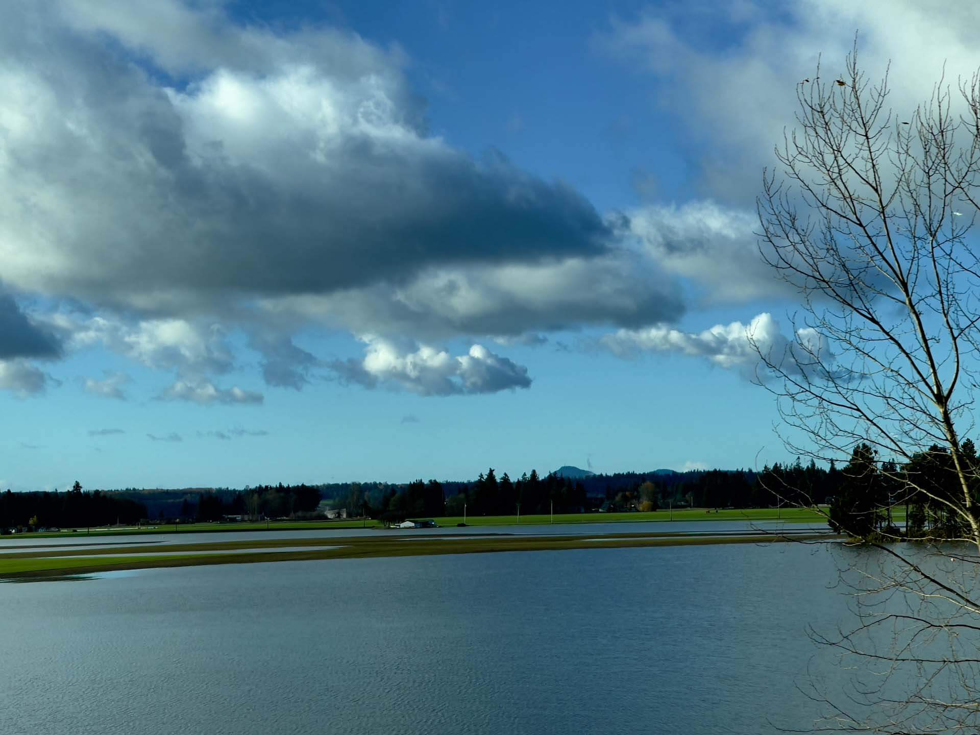 Photo 3 of flooded field west of I-5