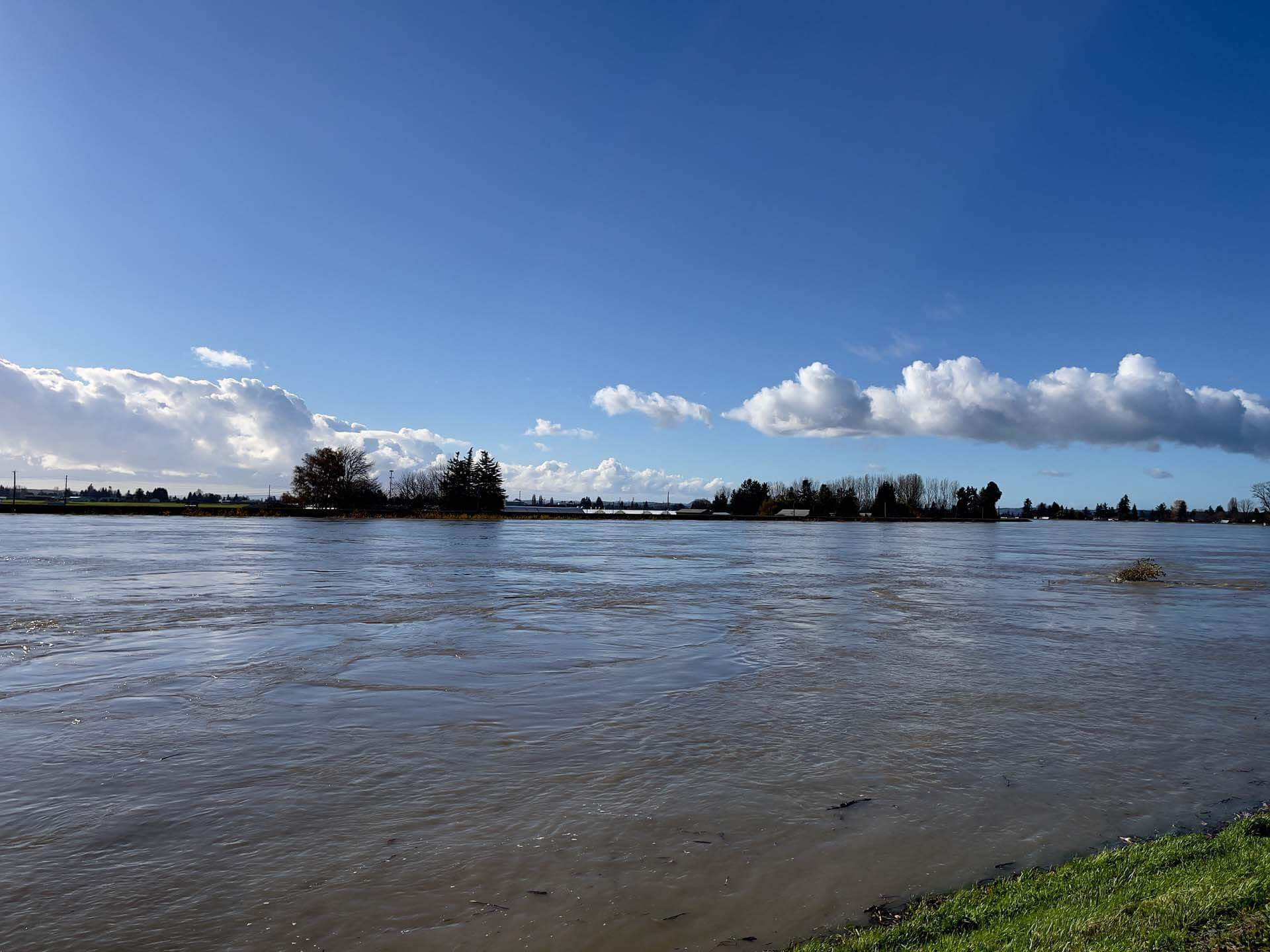 Flooded Skagit River from Whitmarsh Road