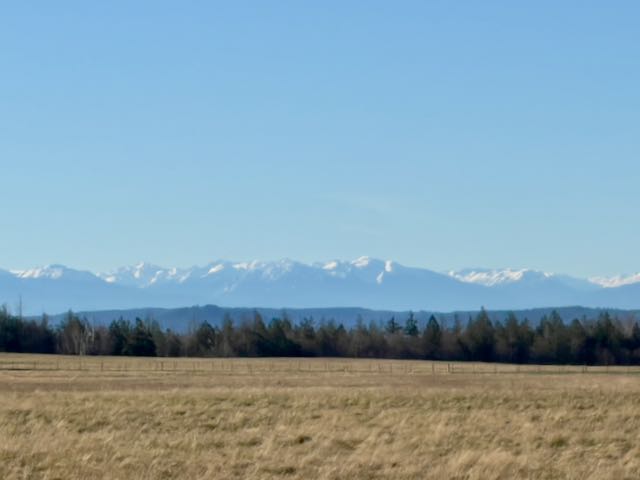 Snow on the Olympic Mountains